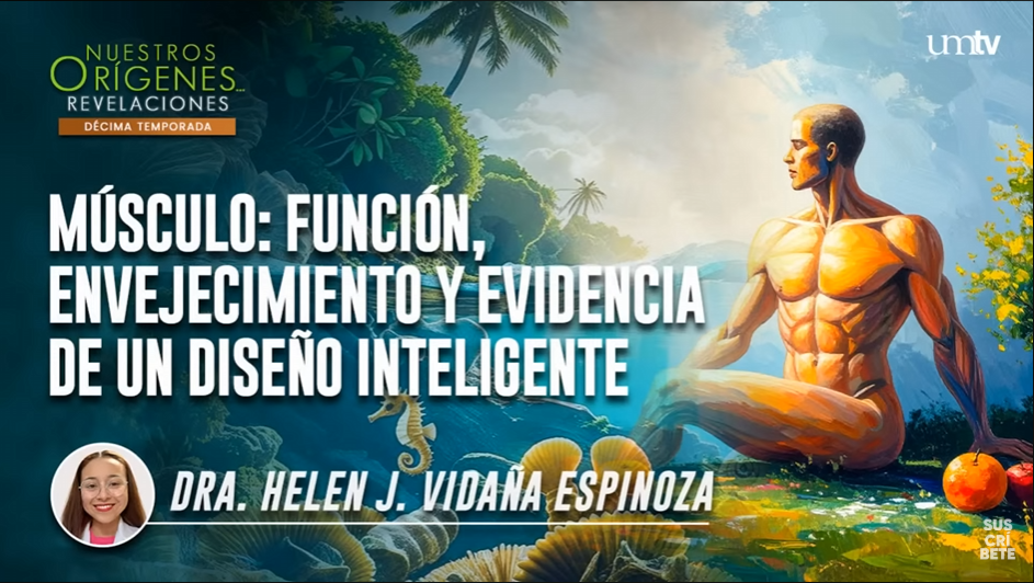 MÚSCULO: FUNCIÓN, ENVEJECIMIENTO Y EVIDENCIA DE UN DISEÑO INTELIGENTE