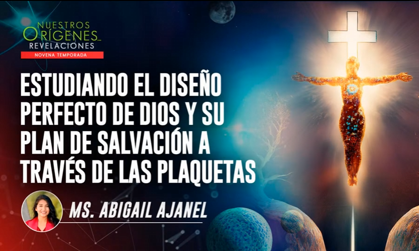 ESTUDIANDO EL DISEÑO PERFECTO DE DIOS Y SU PLAN DE SALVACIÓN A TRAVÉS DE LAS PLAQUETAS