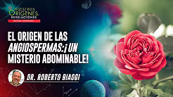 EL ORIGEN DE LAS ANGIOSPERMAS:¡UN MISTERIO ABOMINABLE!