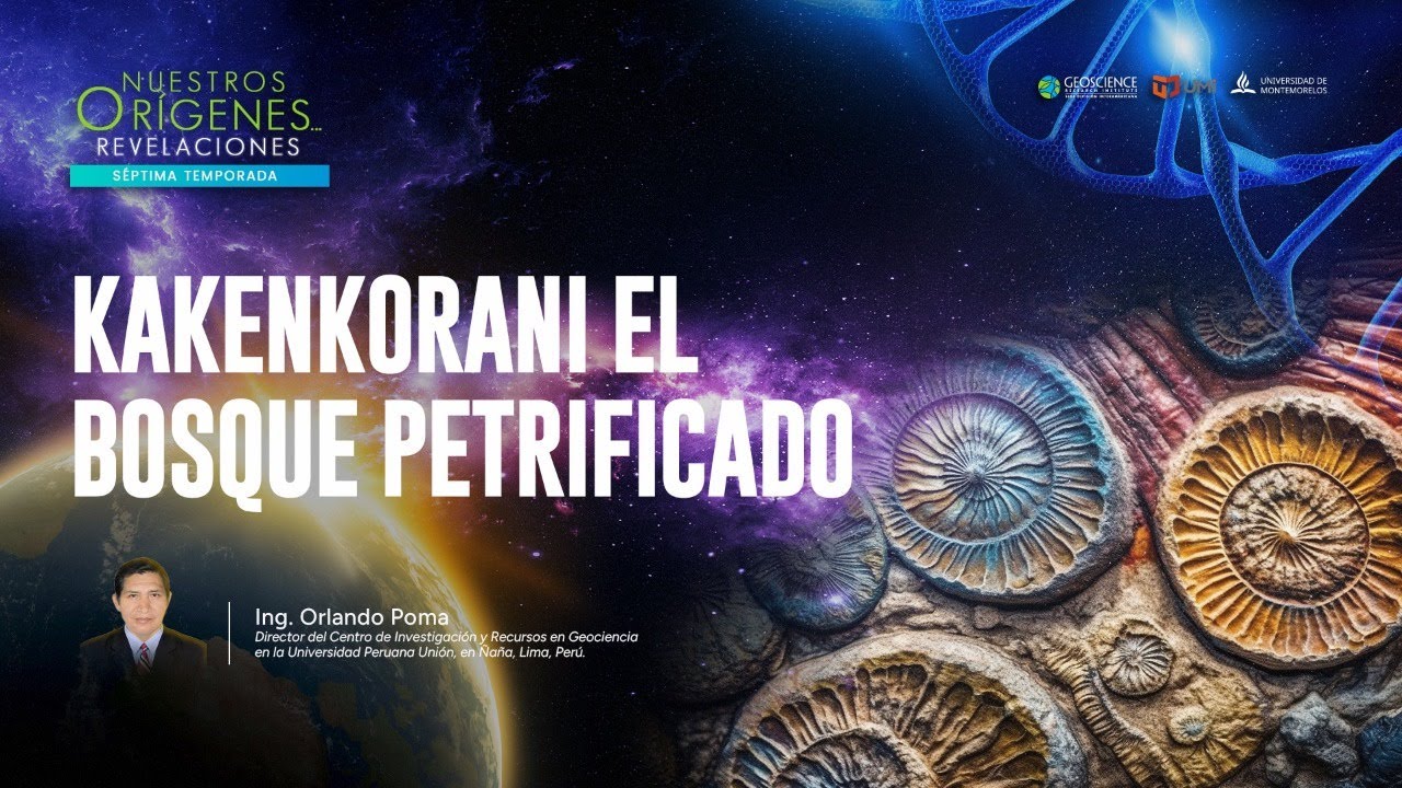 KAKENKORANI: EL BOSQUE PETRIFICADO