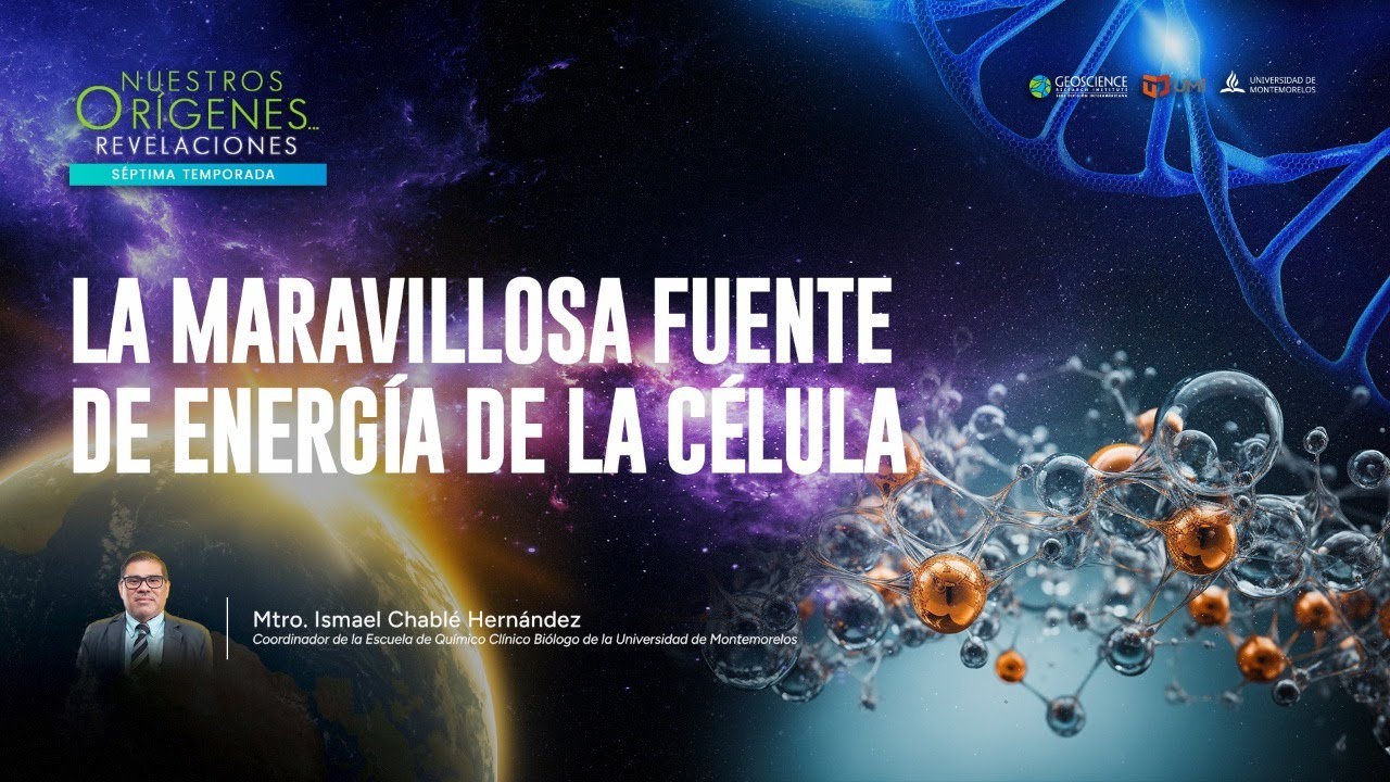 LA MARAVILLOSA FUENTE DE ENERGÍA DE LA CÉLULA