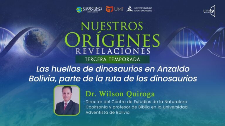 HUELLAS DE DINOSAURIOS EN ANZALDO BOLIVIA