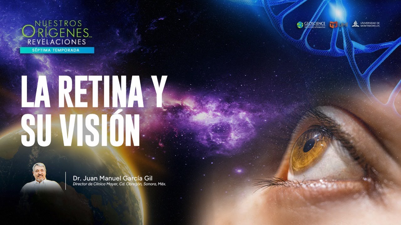 LA RETINA Y SU VISIÓN