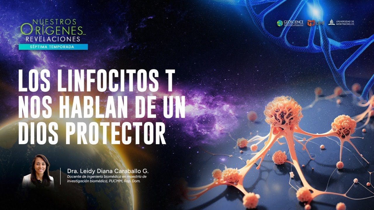 LOS LINFOCITOS T NOS HABLAN DE UN DIOS PROTECTOR