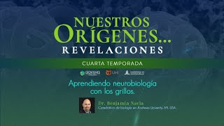 APRENDIENDO NEUROBIOLOGÍA CON LOS GRILLOS
