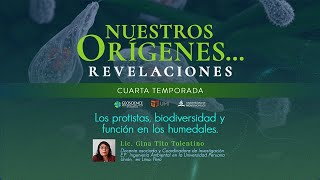LOS PROTISTAS, BIODIVERSIDAD Y FUNCIÓN EN LOS HUMEDALES
