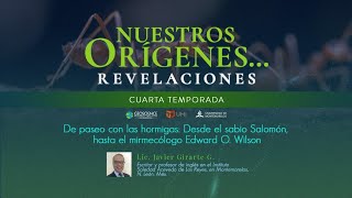 DE PASEO CON LAS HORMIGAS…