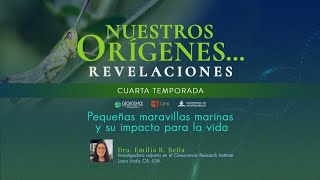 PEQUEÑAS MARAVILLAS MARINAS Y SU IMPACTO PARA LA VIDA