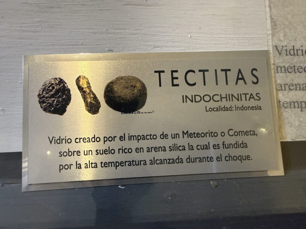 FEDERACION EN CUAUHTEMOC CHIHUAHUA (21-22 DE FEBRERO, 2026)